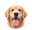 Photo Fresh UK logo